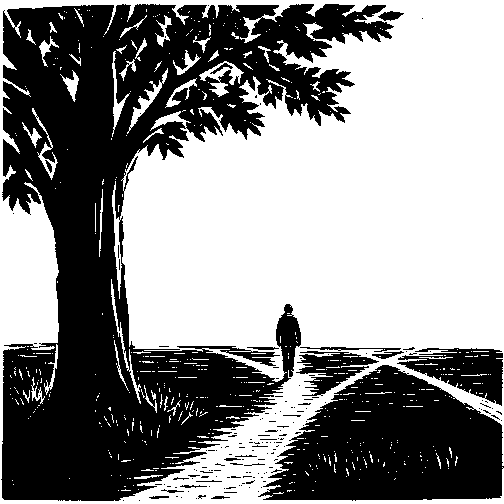 A person seen from behind walks away from a big tree along a path that divides into several paths across a field.